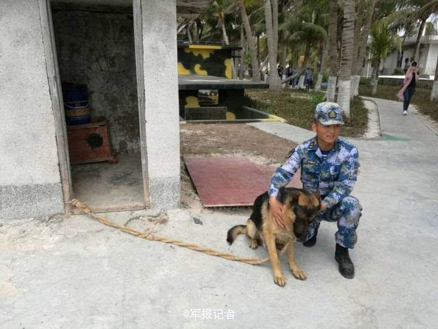 战争之人突击小队2士兵经验_学校突击消防演练方案_士兵突击 第二季是什么学校的