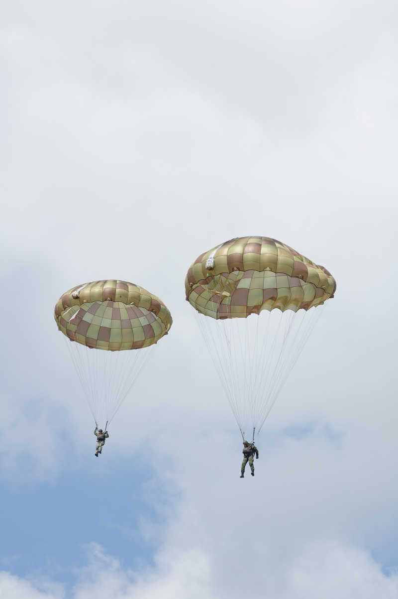 中国空降兵标志