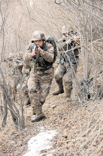 海岛奇兵迫击炮升级数据_海岛奇兵迫击炮手升级数据_海岛奇兵迫击炮升级