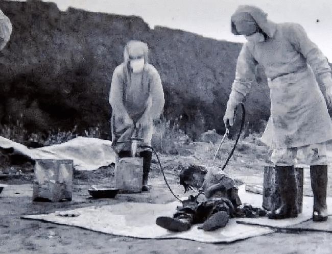 生物武器:从国家赞助的研制计划到当代生物恐怖活动_活动赞助赞助_恐怖生物mod生物