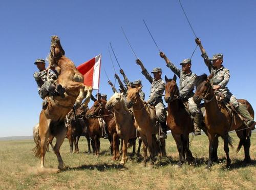 步兵55师炮兵团贴吧_石家庄机械步兵学院_中国机械化步兵师图片